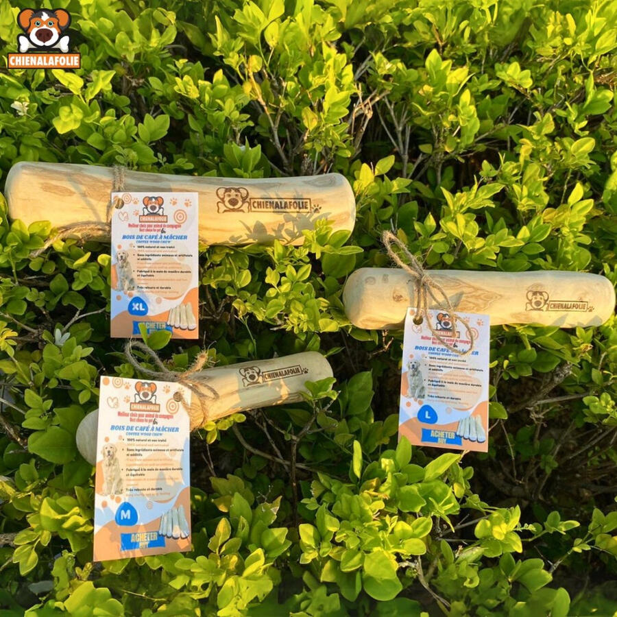 Assortment_of_eco_friendly_coffee_wood_chew_sticks_Chienalafolie_in_nature