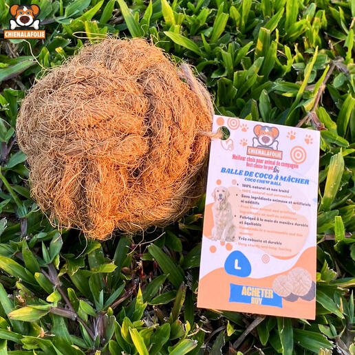 Natural_coconut_dog_ball_with_official_label_Chienalafolie
