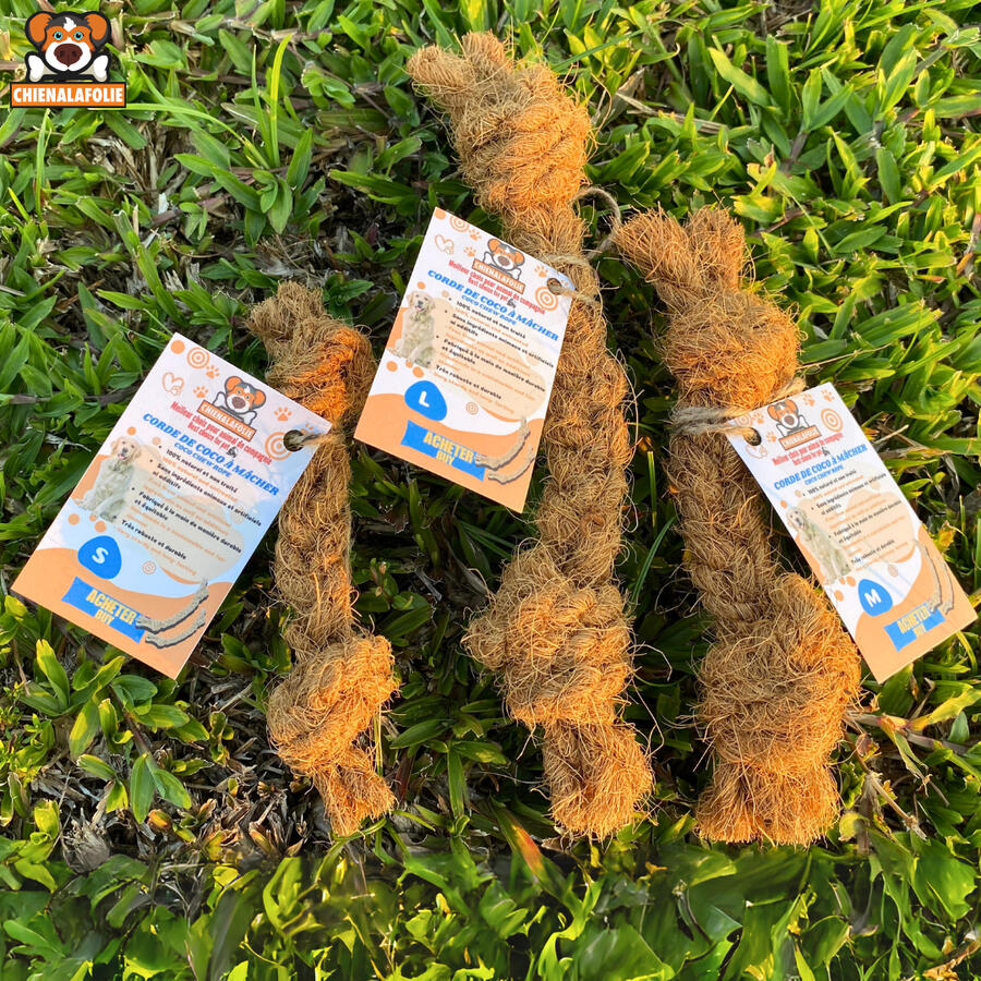 Three_sizes_of_durable_coconut_dog_ropes_Chienalafolie