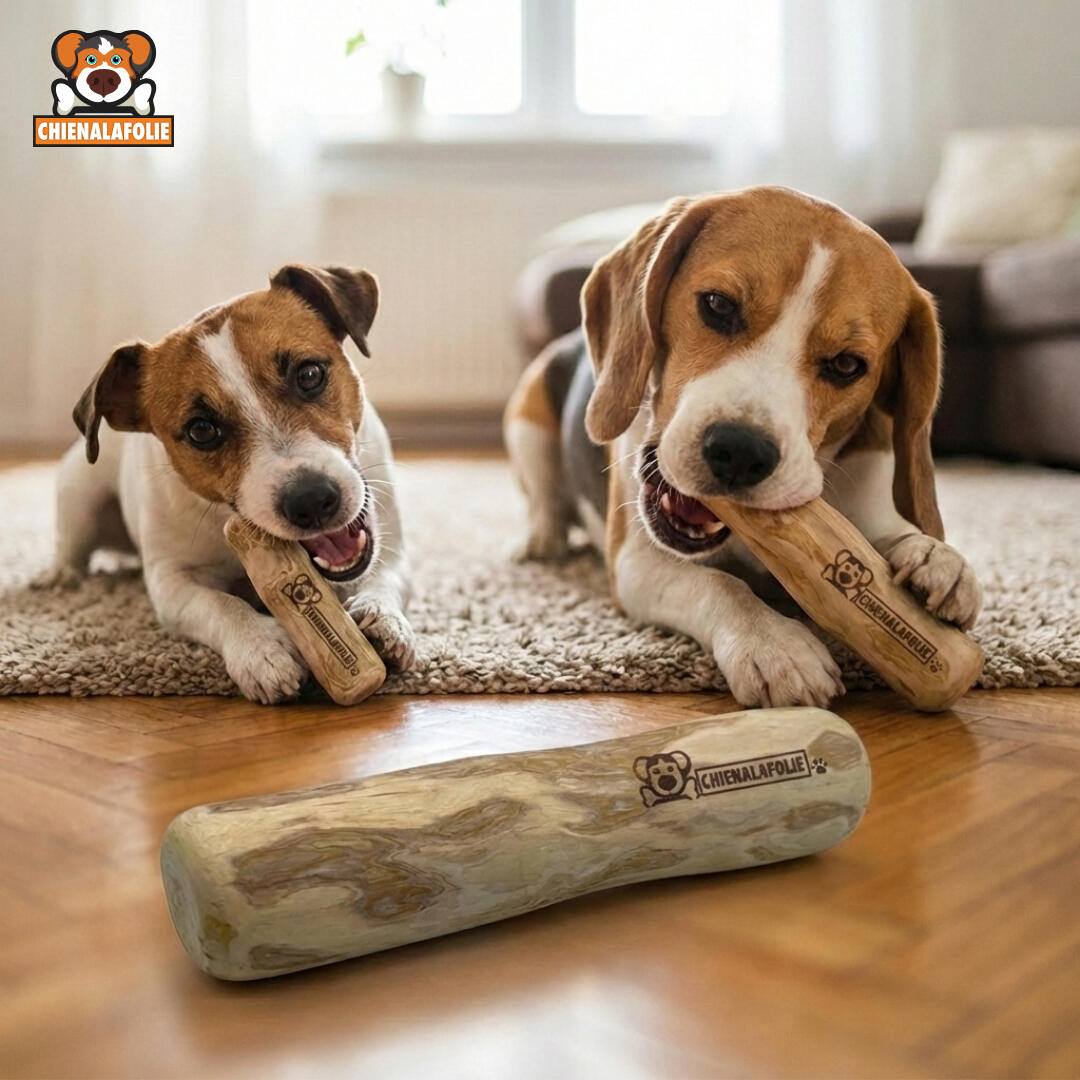 Two_dogs_enjoying_their_chewing_session_with_coffee_wood_Chienalafolie Two_dogs_enjoying_their_chewing_session_with_coffee_wood_Chienalafolie